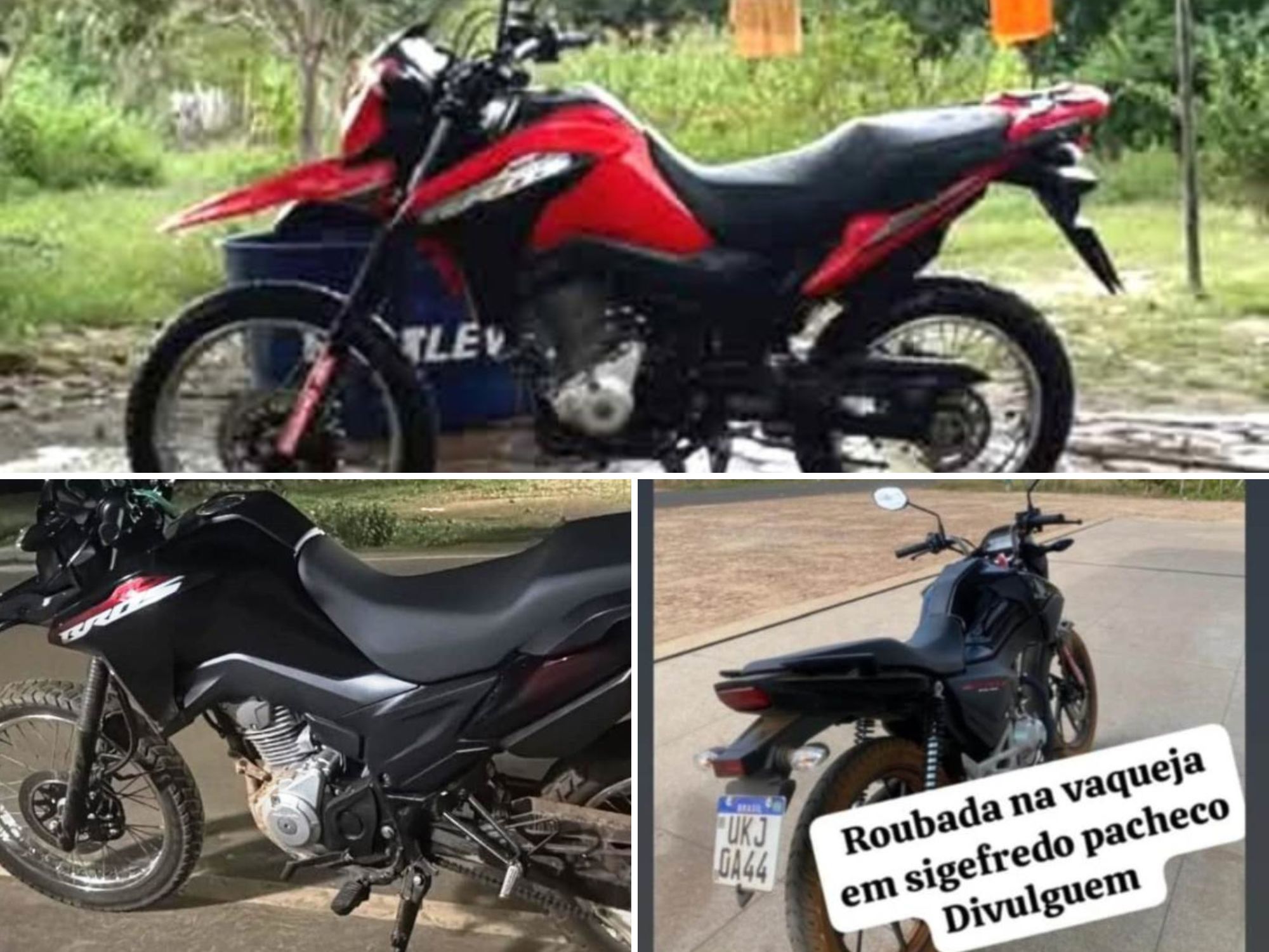 Reprodução