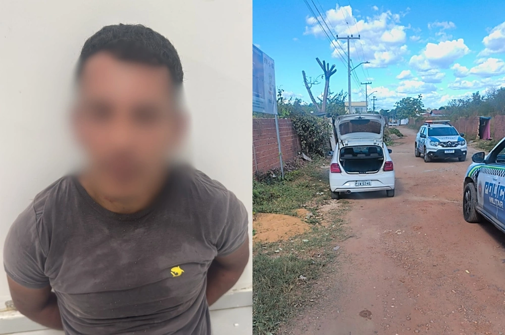 Suspeito de roubar carro é preso ao ser atacado por enxame de abelhas em Teresina