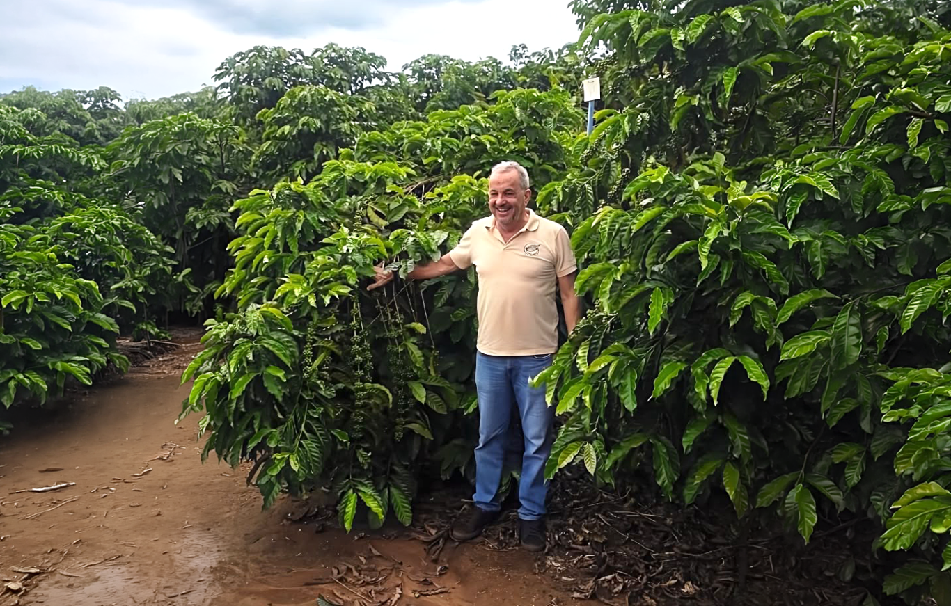 BNB financia implantação de modalidade de café com maior valor agregado no Vale do Jequitinhonha