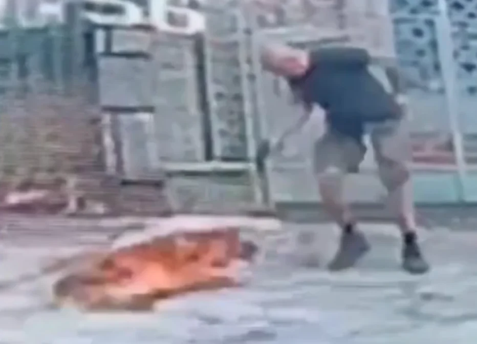 Cachorro é morto a tiros após se aproximar de homem que passeava com outro cão