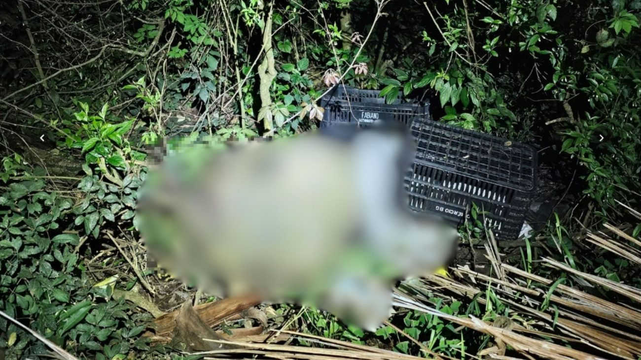 Corpo amordaçado e com sinais de violência é encontrado em mata