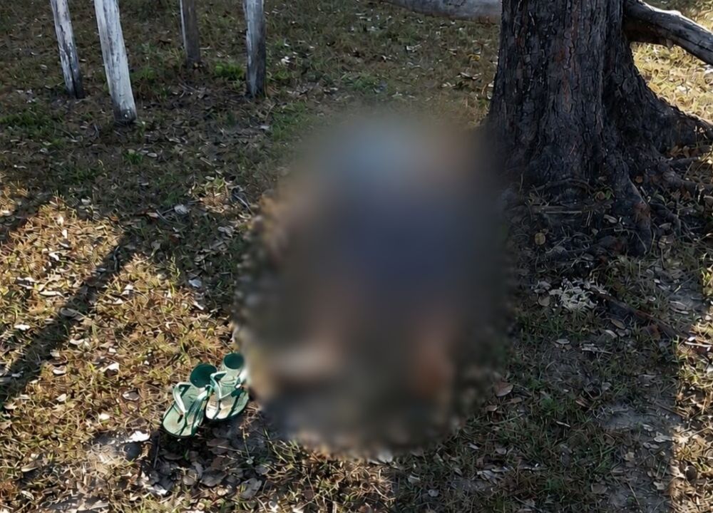 Homem é encontrado morto na zona rural de Esperantina