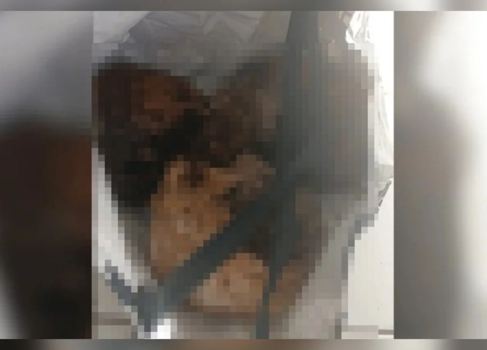 Homem é flagrado com três crânios humanos dentro de sacola em Caps