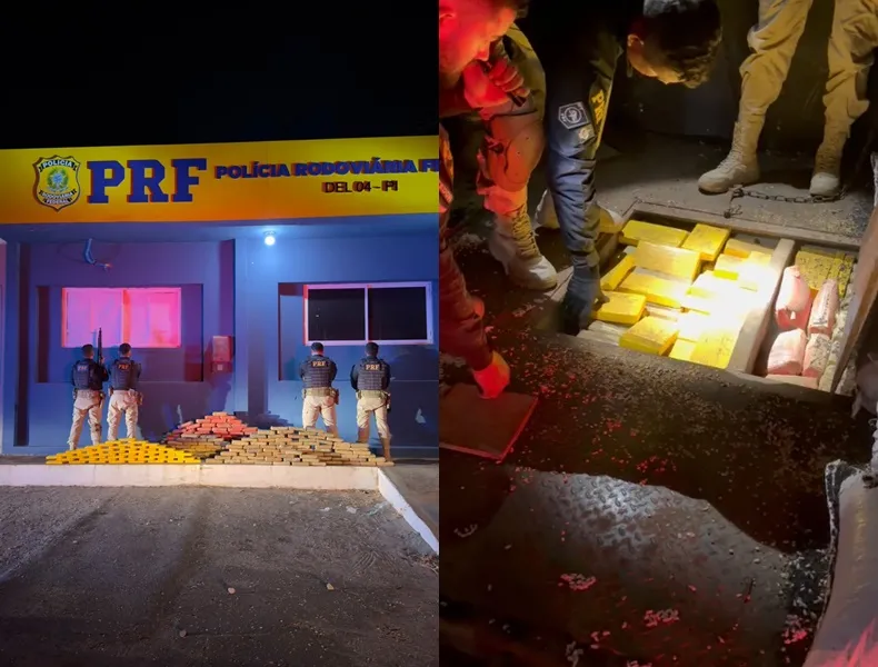 Motorista é preso com 273 kg de drogas escondidos em carreta no sul do Piauí