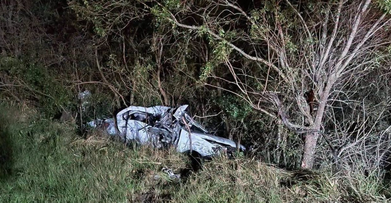 Motorista morre após atingir capivara e colidir com carreta na BR-293