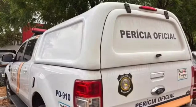 Perícia