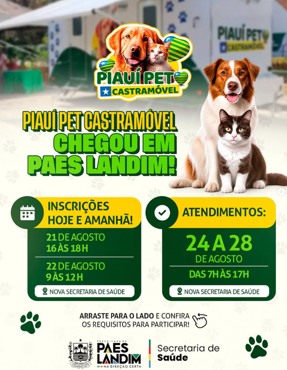 Piauí Pet Castramóvel chega a Paes Landim com castração gratuita de cães e gatos