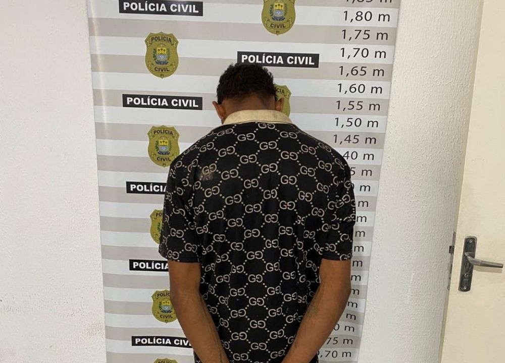 Polícia Civil cumpre mandado por crimes de furto qualificado em Teresina