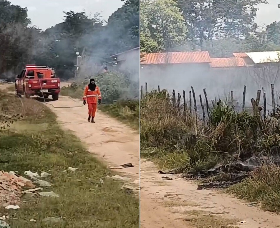 Reprodução