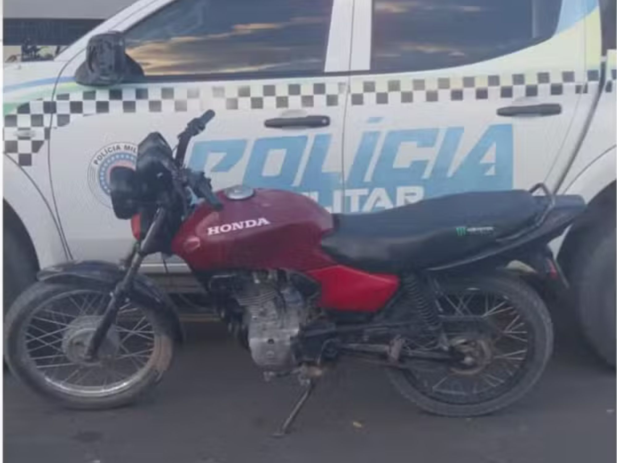 Reprodução