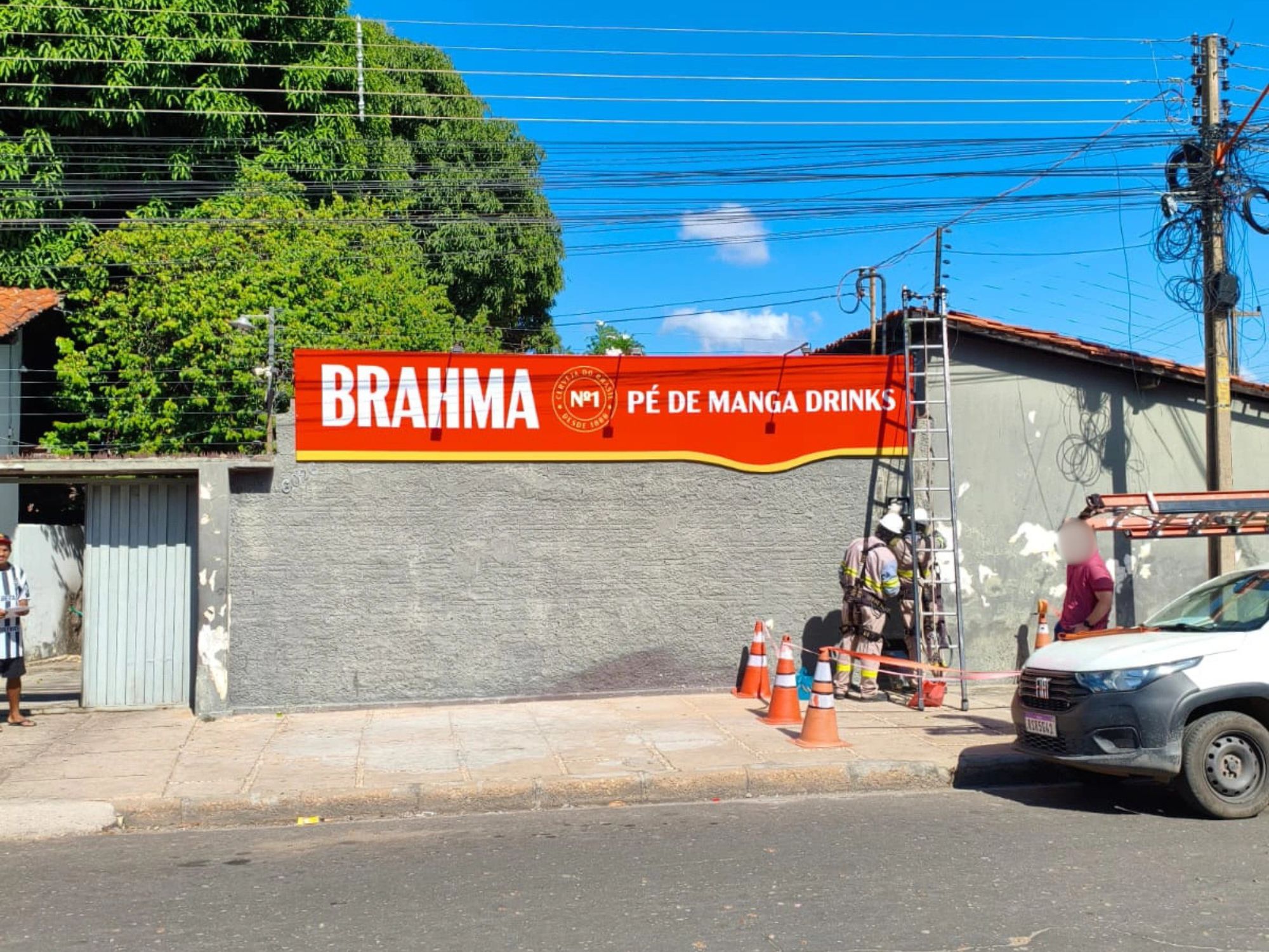 Reprodução
