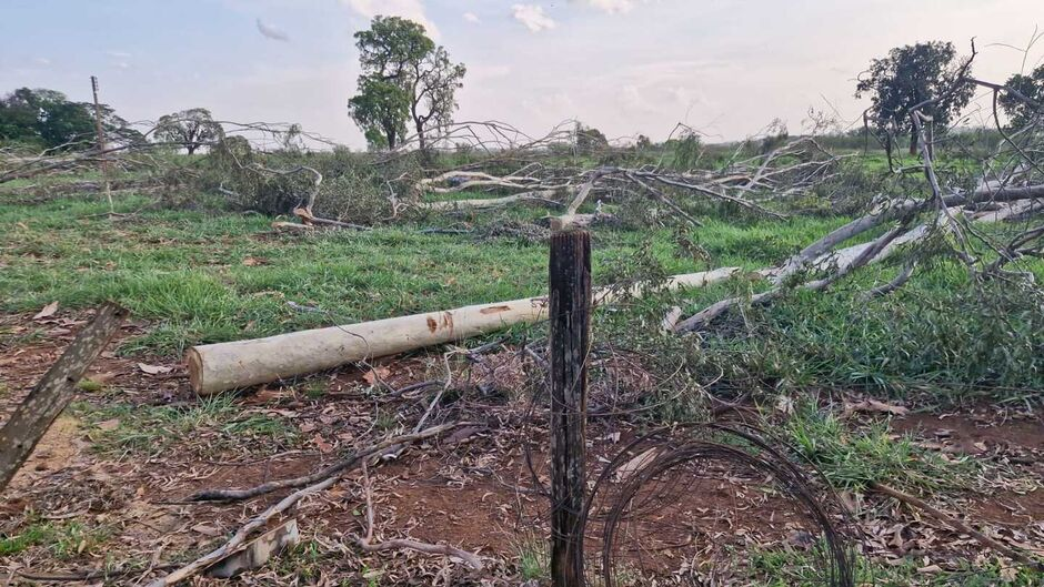 Trabalhador morre ao levar choque em cerca energizada por fio de alta tensão no Carioca