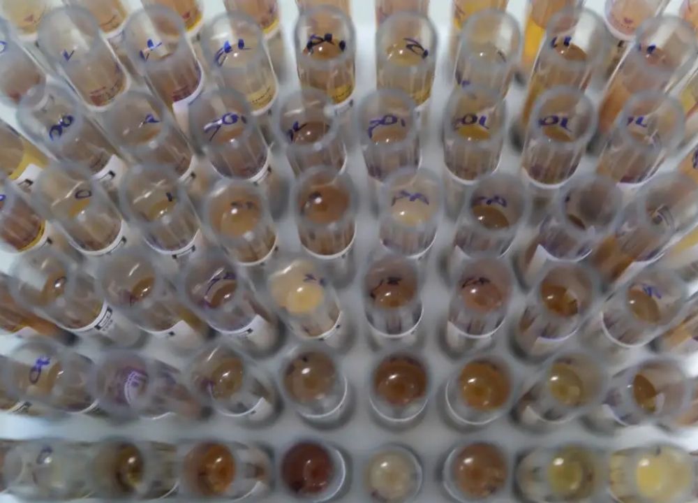 Uso de medicamento oferecido no SUS reduz casos de malária no Brasil