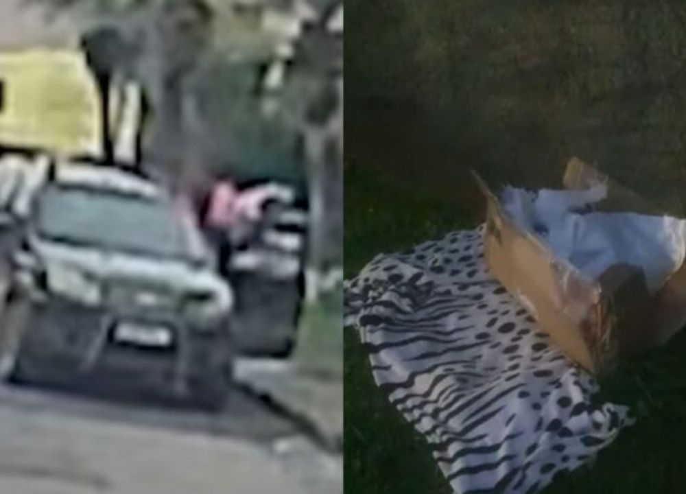 Cachorro morto é deixado dentro de caixa em frente a casa e câmeras registram ação
