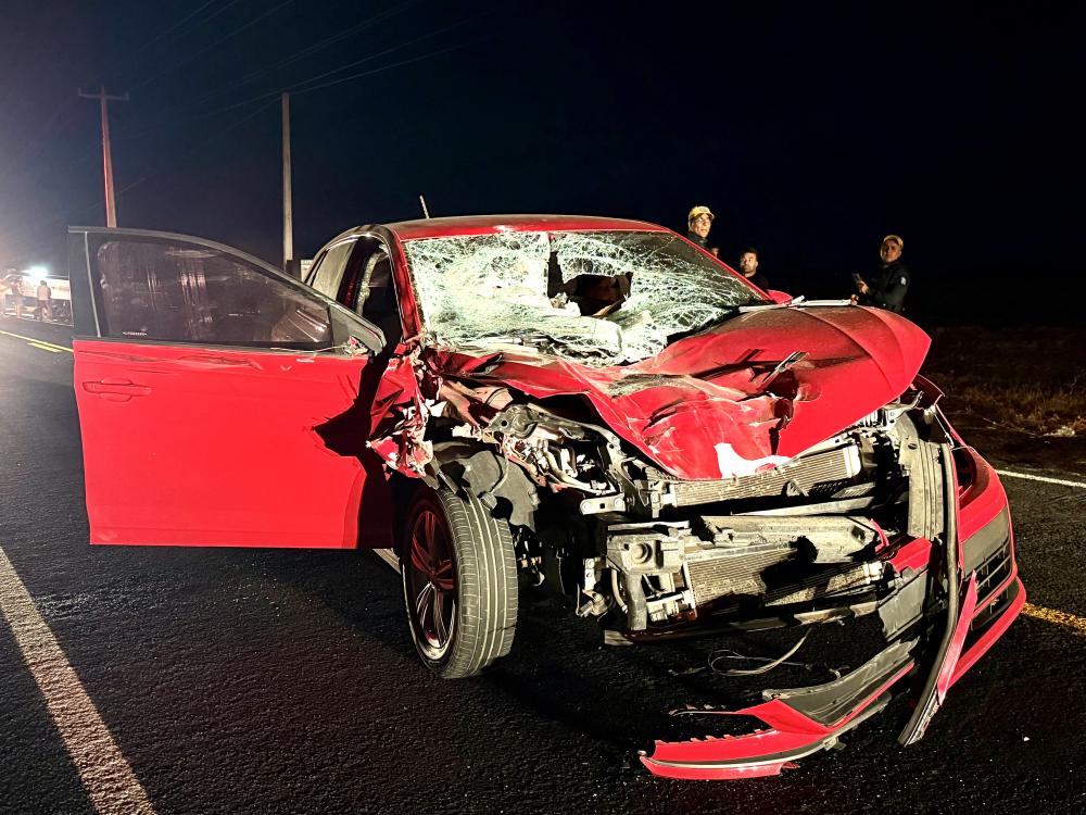 Colisão com carro deixa dois cavalos mortos e dois vaqueiros feridos na PI-236, em Hugo Napoleão; retornavam de cavalgada