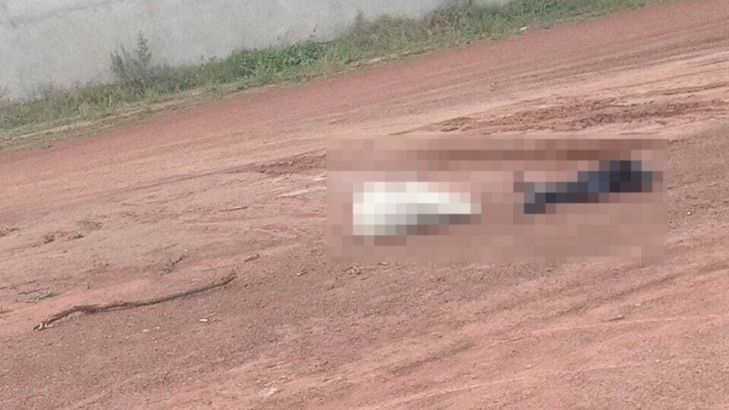 Corpo em decomposição é encontrado dentro de saco de lixo atrás de motel