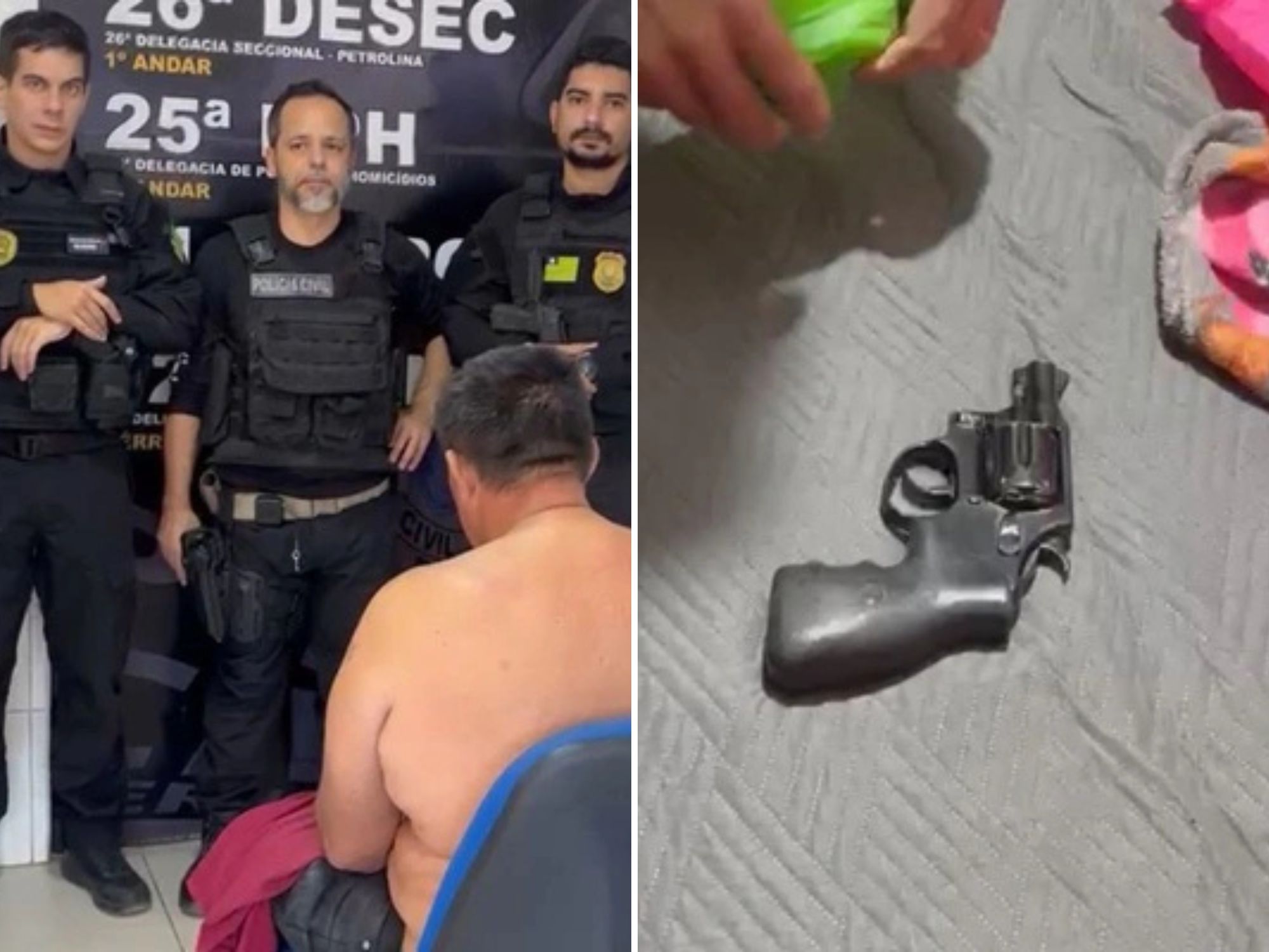 Divulgação