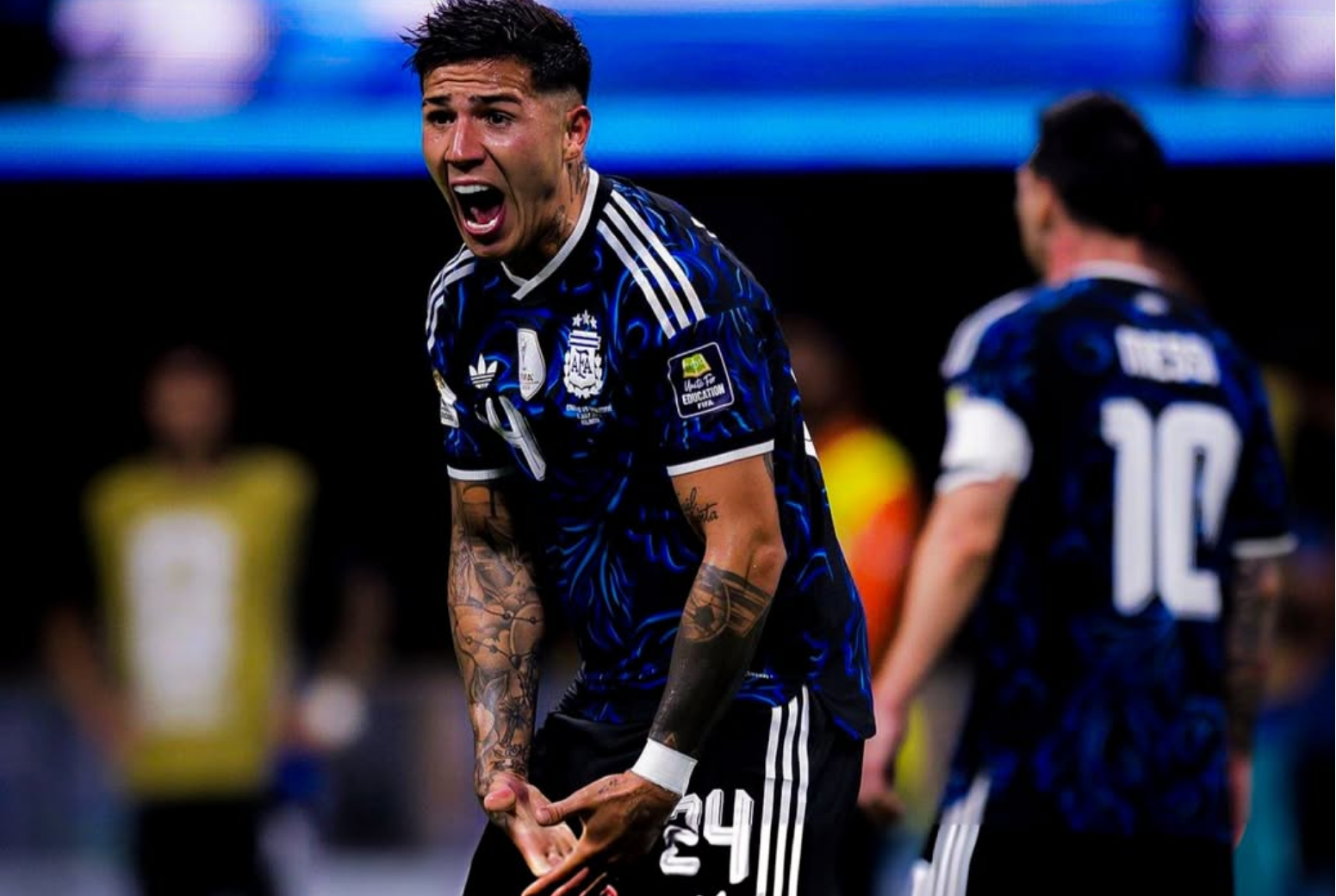 Enzo Fernandes