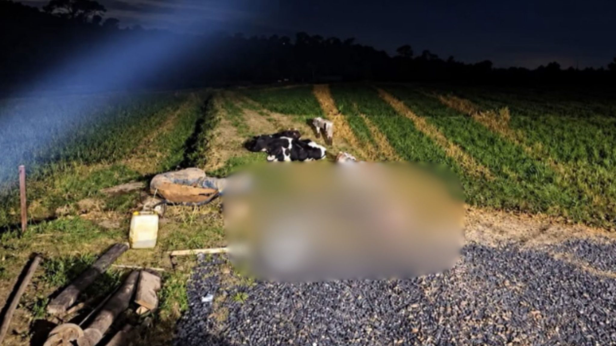 Homem morre eletrocutado em cerca elétrica de sítio e é encontrado pelas próprias filhas em Joinville