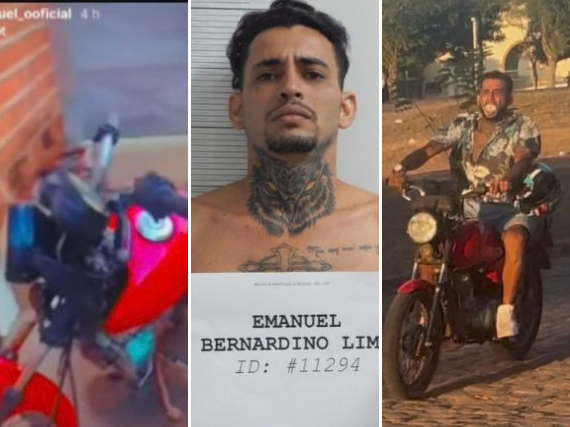 Reprodução