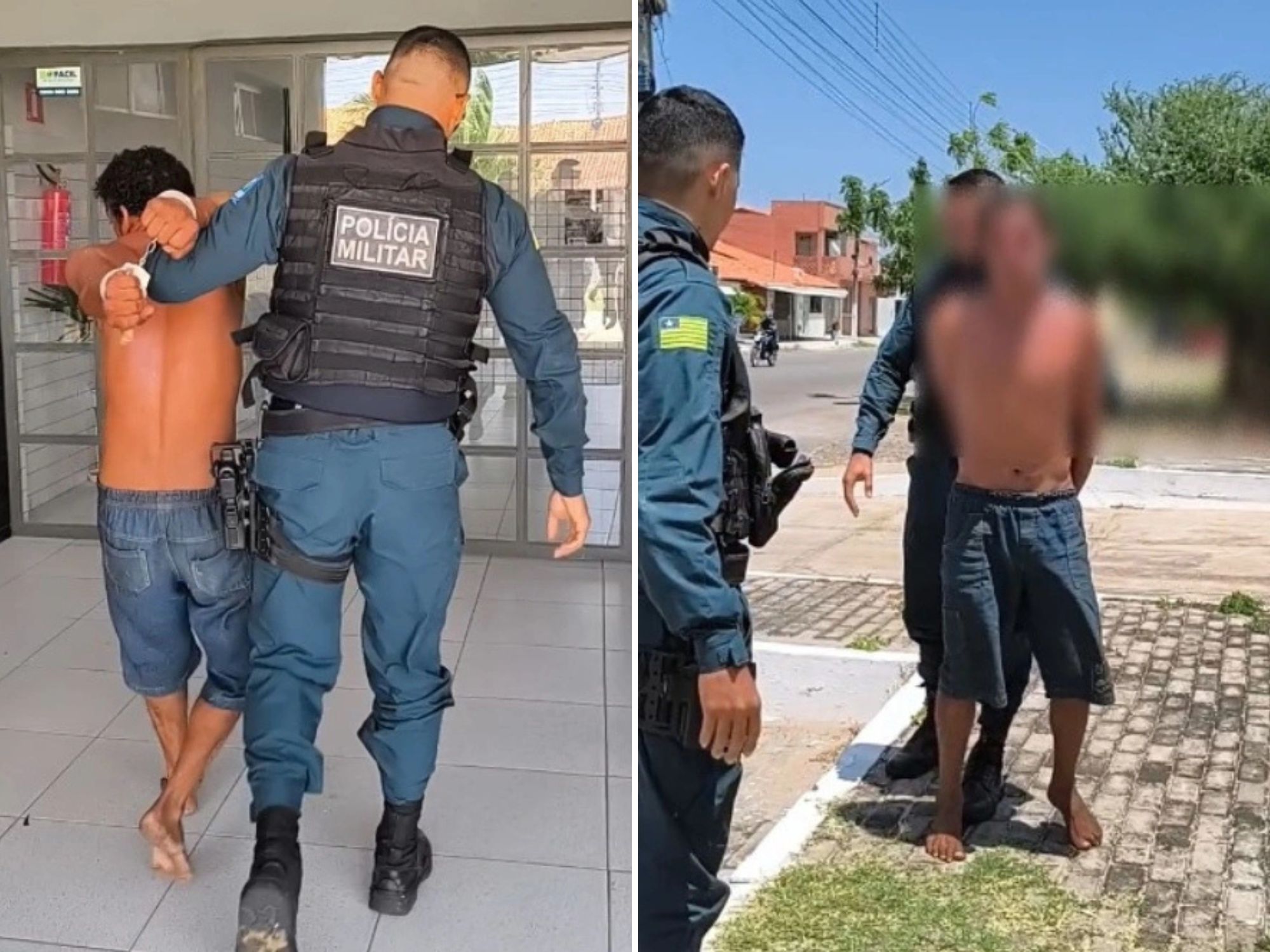 Reprodução