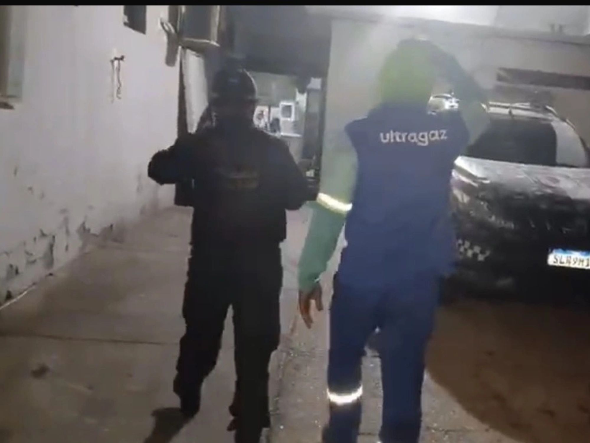 Reprodução