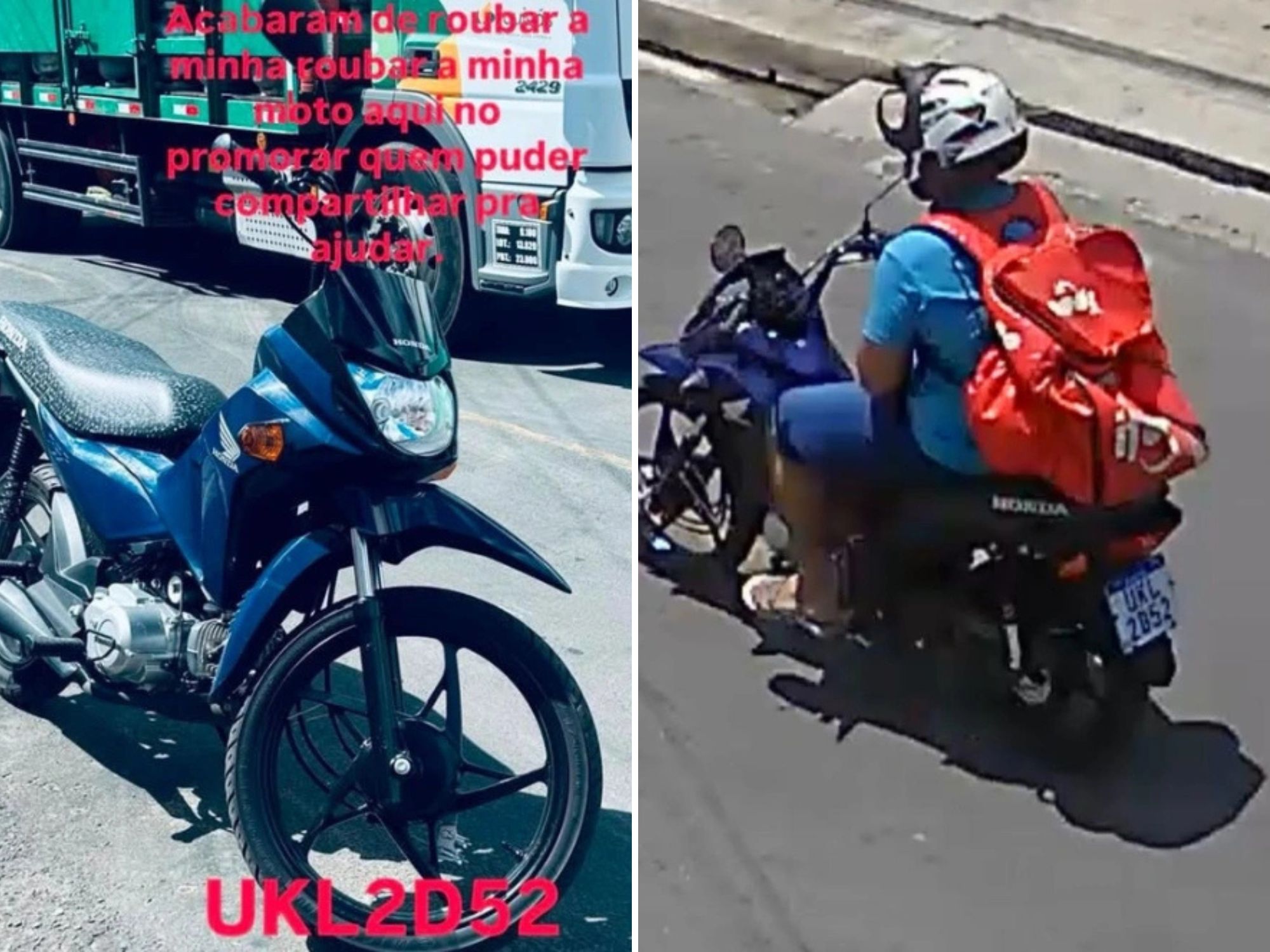 Reprodução