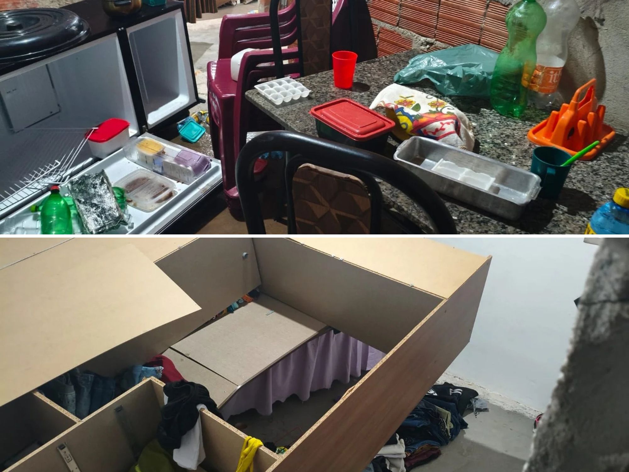 Reprodução