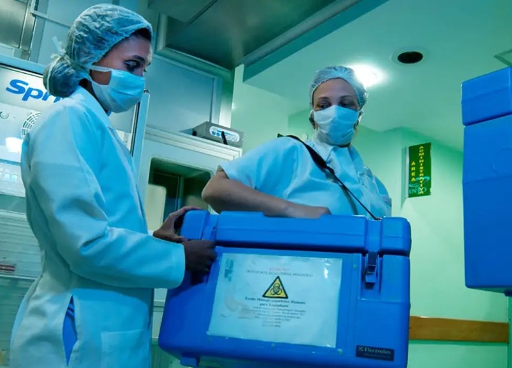 Setembro Verde: idosos também podem ser doadores vivos de órgãos