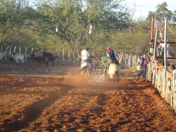 1º Grande Vaquejada do Parque de Vaquejada Nossa Senhora Aparecida em