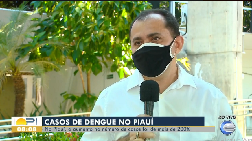 Piauí tem aumento de 220 em casos de dengue veja cidades mais