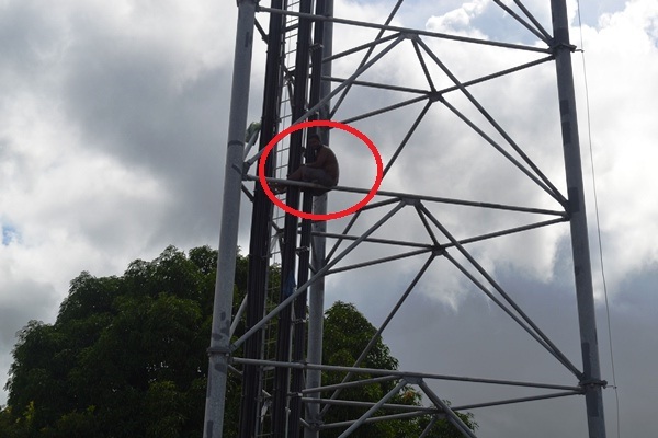 Homem Amea A Se Jogar De Torre De Telefonia Em Campo Maior Imagens