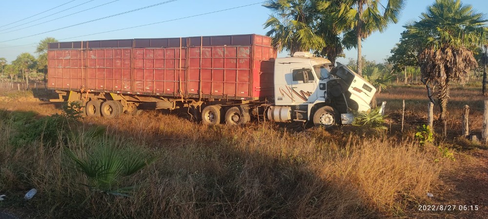 Carreta colide com palmeiras após atropelar mulher