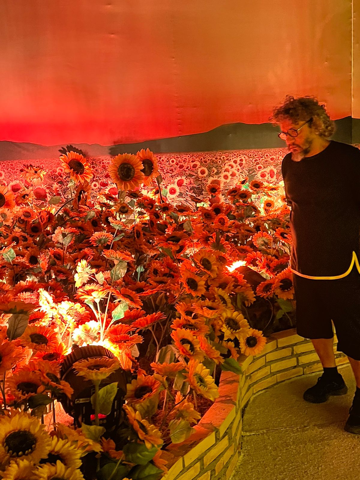 Eugênio II participa da exposição de arte de Vicent Van Gogh em