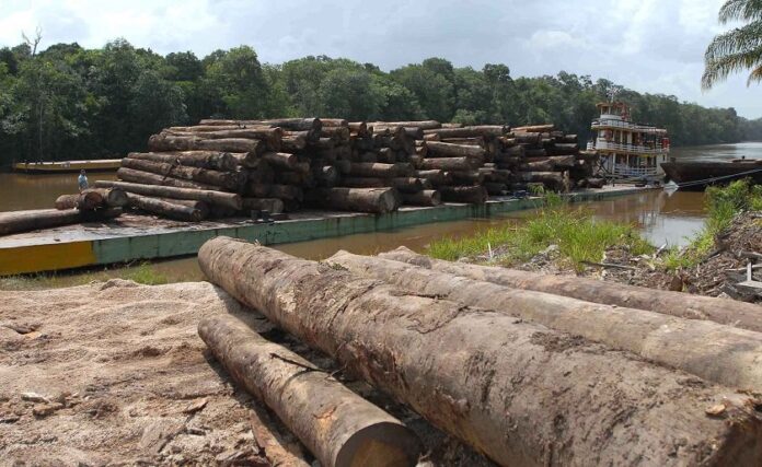 Amazônia desmatamento