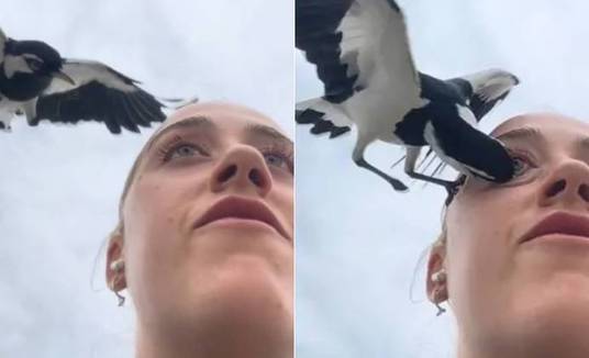 Jovem leva bicada de ave dentro do olho durante grava&ccedil;&atilde;o de v&iacute;deo -  180graus - O Maior Portal do Piau&iacute;