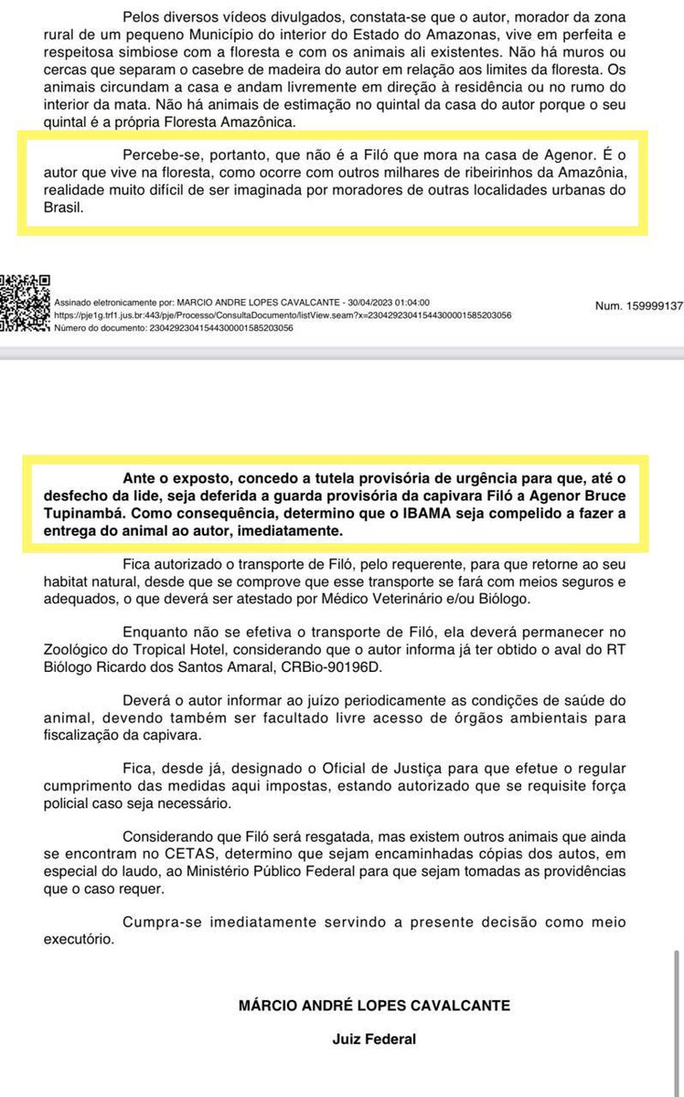 Juiz concede guarda provisória de capivara Filó para fazendeiro