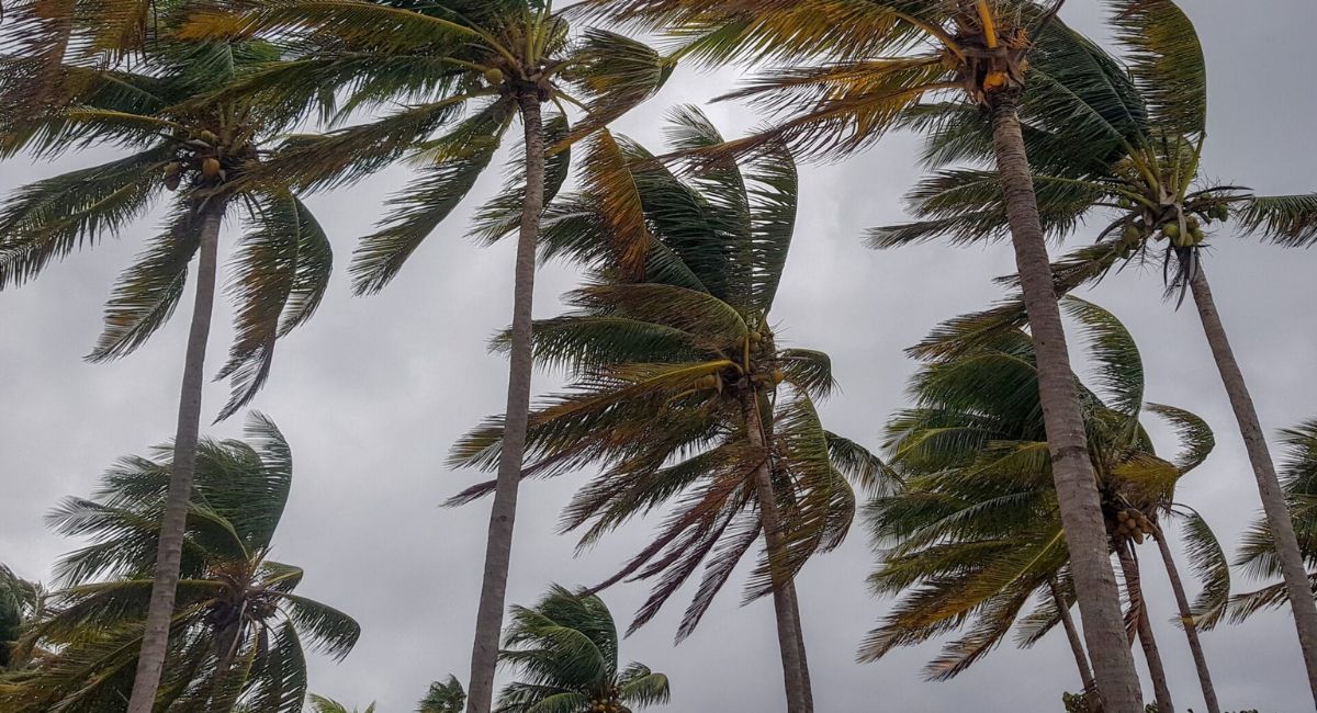 Dois ciclones extratropicais devem atingir Santa Catarina com ventos de até 100  km/h nesta semana - 180graus - O Maior Portal do Piauí