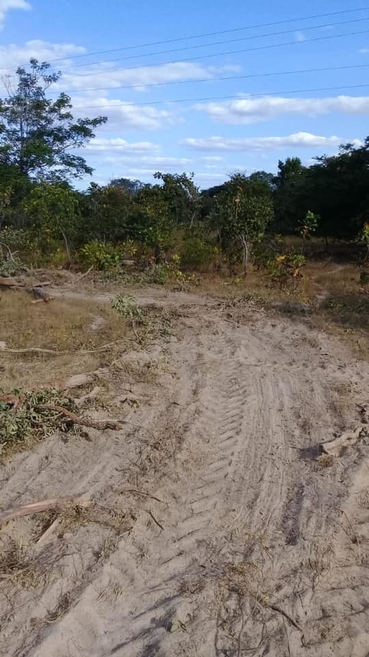 Prefeitura de Alto Longá conclui estrada vicinal entre as comunidades