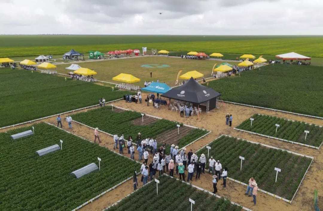 Fazenda Progresso Realiza Dia De Campo Com Produtores De 16 Estados ...