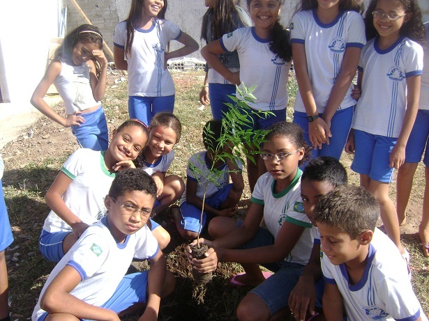 Alunos da Escola João da Costa Viana plantam árvores na Prainha de