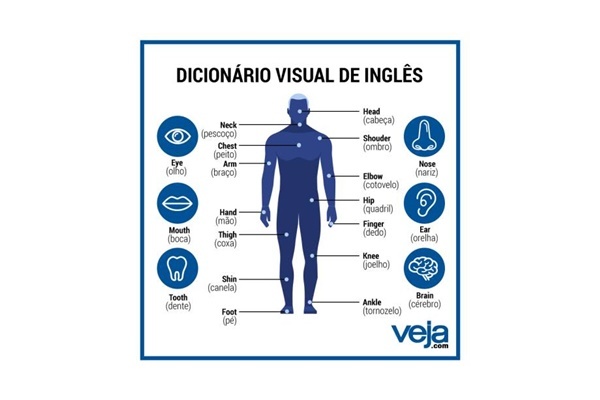 Dicionário visual mostra expressões úteis em inglês