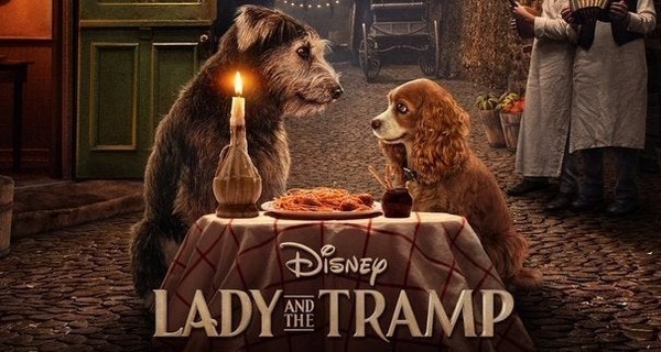 Resultado de imagem para Senhora e o vagabundo | Trailer Oficial | Disney + | Streaming 12 de novembro