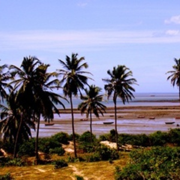 Natureza de Barra Grande e Cajueiro da Praia atrai turistas de todo o mundo Natureza de Barra Grande e Cajueiro da Praia atrai turistas de todo o mundo