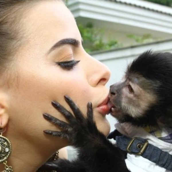 Mulher de Latino recebe beijo de língua de macaco de estimação